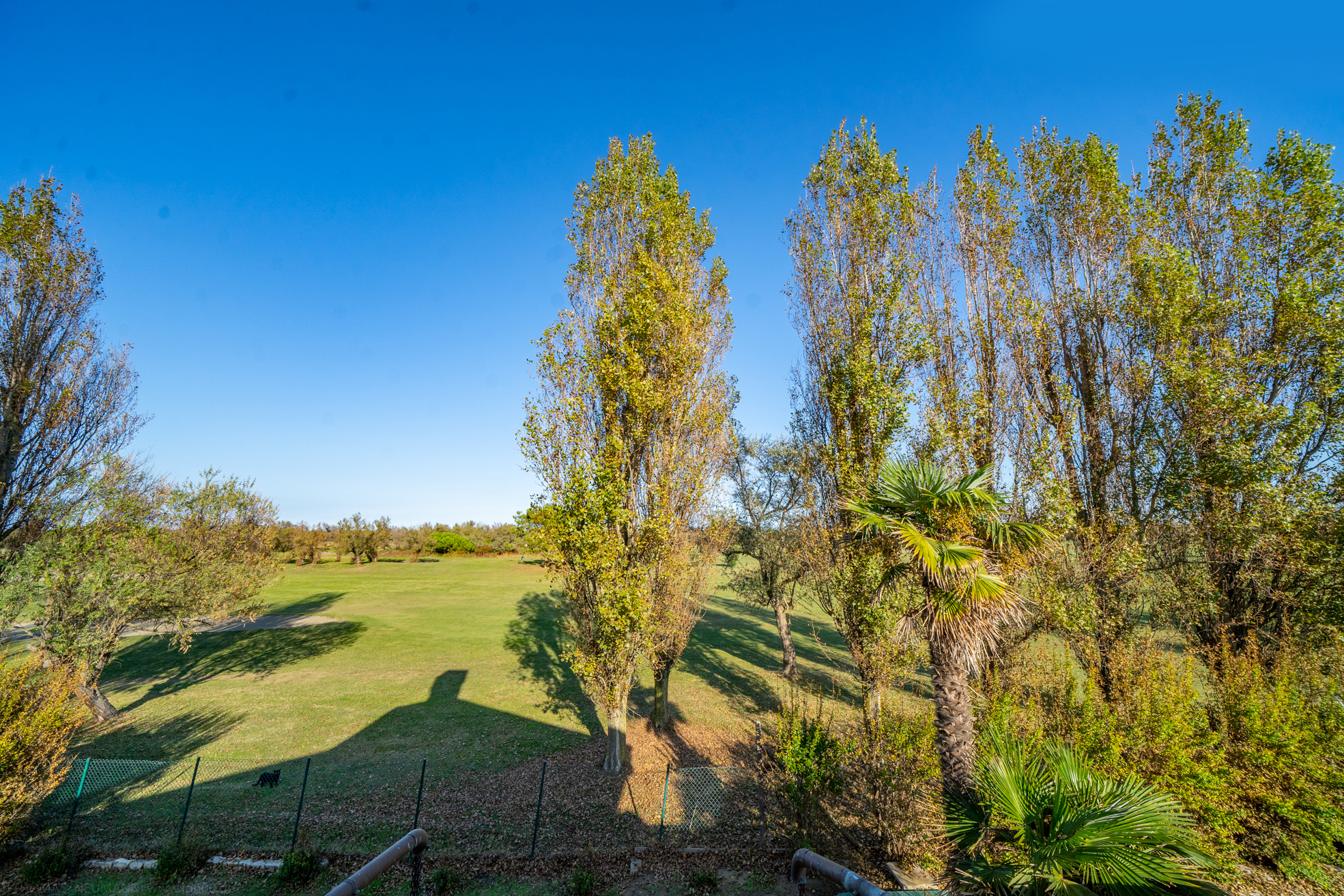 Campo Golf / Villaalbarella